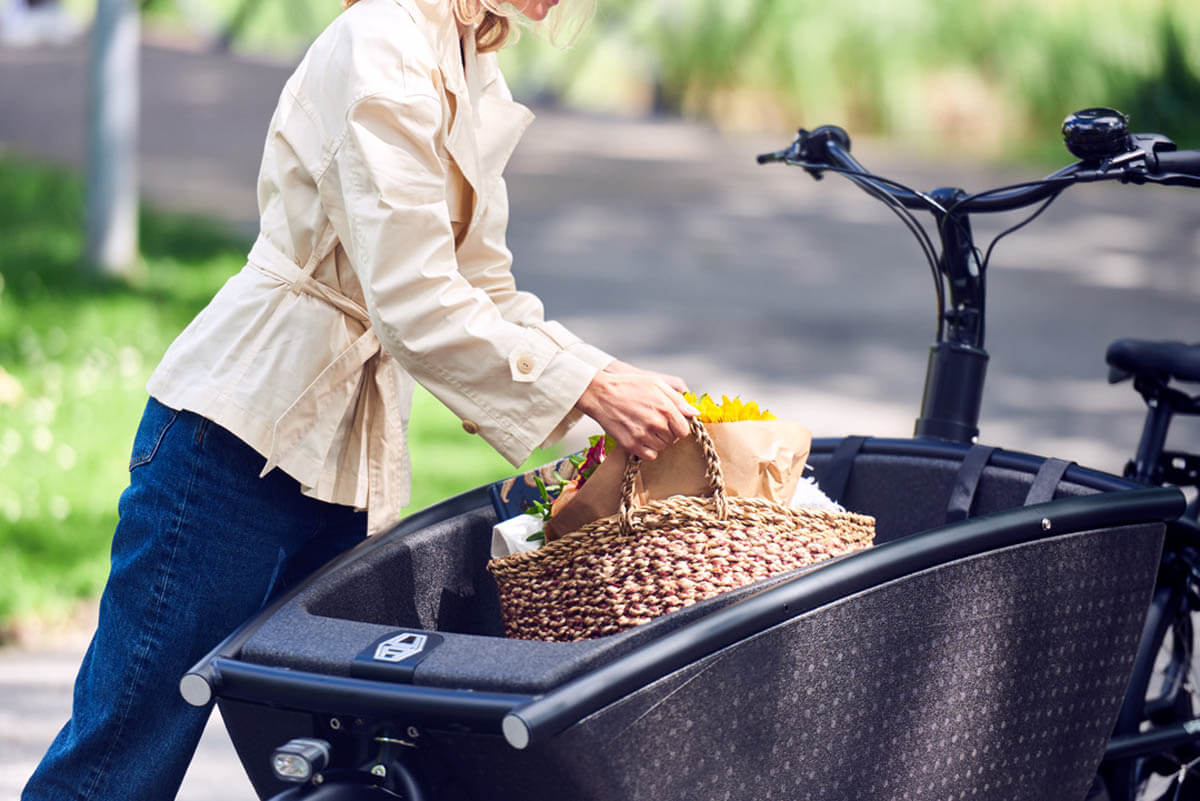 Urban Arrow FAMILY - performance essential model 2022 | The Cool Biking  Company